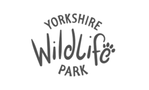 Снимок экрана 2023-03-31 в 13.16.52